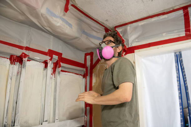 Best Dehumidification Services  in Hayfork, CA