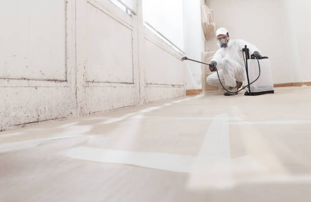Best Residential Mold Inspection & Testing  in Hayfork, CA
